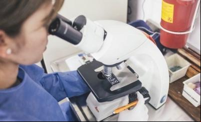 OMS alerta para aumento de resistência a antibióticos em infecções bacterianas