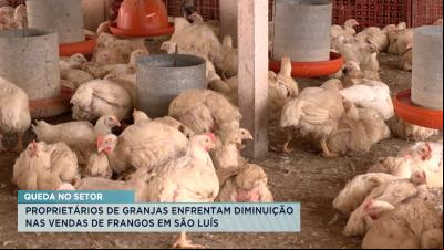 Mercado registra diminuição nas vendas de frangos em São Luís