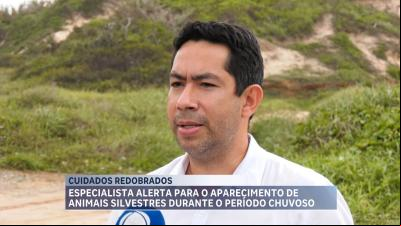 Especialista explica aparecimento de animais silvestres no período chuvoso