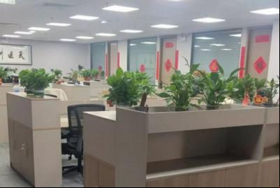 Mercado chinês contrata funcionários para ‘trabalhar de mentirinha’