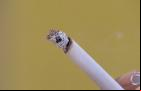 MA lidera ranking entre os Estados do Nordeste no comércio de cigarros ilícitos