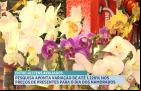 Presentes para o Dia dos Namorados podem variar mais de 1200%